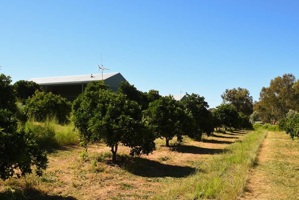 Swan Valley Sisters Henley Brook ภายนอก รูปภาพ