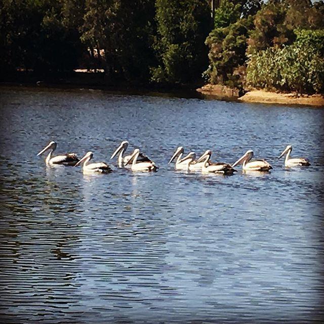 Swan Valley Sisters Henley Brook ภายนอก รูปภาพ